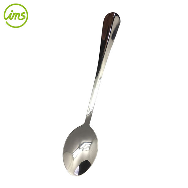 Stainless Steel Serving Spoon